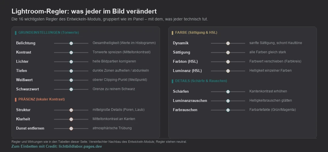 Nachbau des Lightroom-Entwickeln-Panels als dunkle Oberfläche mit 16 Reglern in vier Gruppen: Grundeinstellungen (Belichtung, Kontrast, Lichter, Tiefen, Weißwert, Schwarzwert), Präsenz (Struktur, Klarheit, Dunst entfernen), Farbe (Dynamik, Sättigung, Farbton, Luminanz) und Details (Schärfen, Luminanzrauschen, Farbrauschen) – jeder Regler mit einer kurzen Beschreibung, was er im Bild verändert